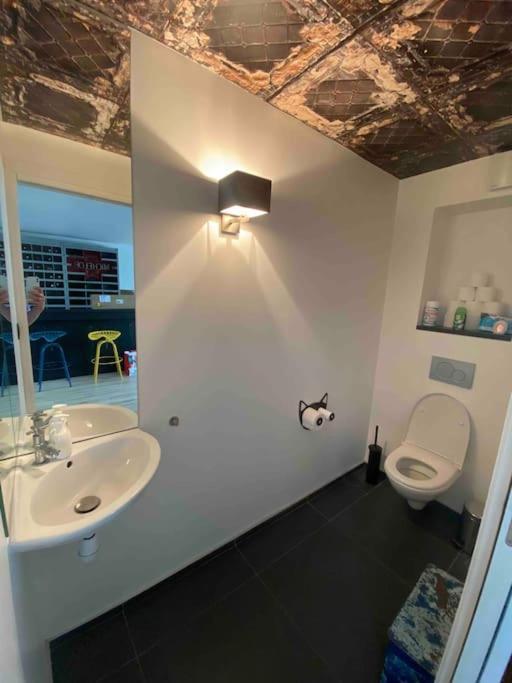 Rare ! Loft Atypique Centre-Ville Parking Jardin 랭스 외부 사진